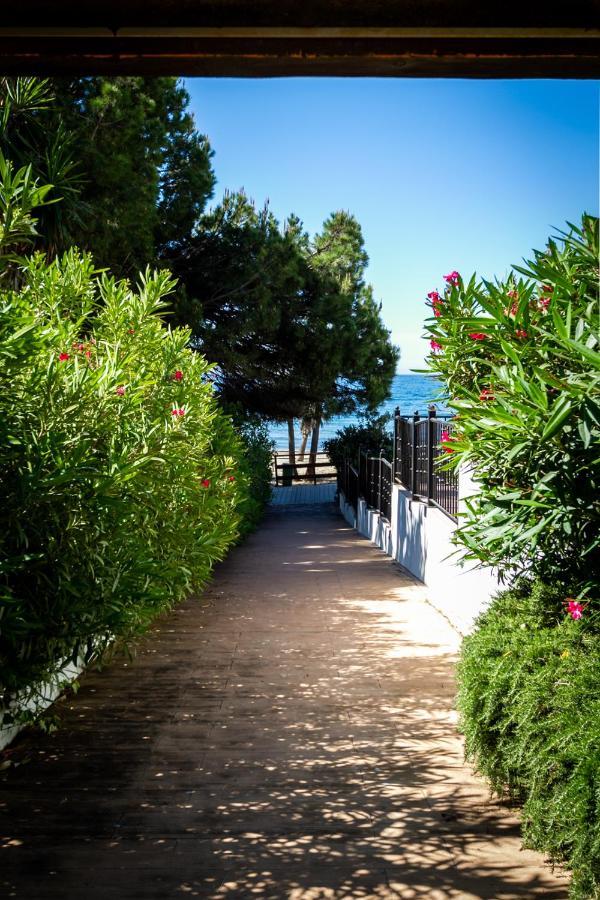 Marbella Banus Suites - Bird Of Paradise Playas Del Duque Banus Suite Apartment エクステリア 写真