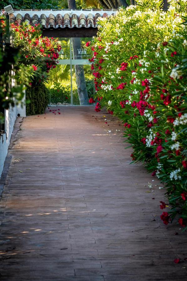 Marbella Banus Suites - Bird Of Paradise Playas Del Duque Banus Suite Apartment エクステリア 写真